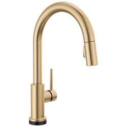 Single Handle Pull-Down Kitchen Faucet with Touch<sub>2</sub>O® Technology