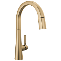 Gold Kitchen Faucets | Delta Faucet