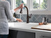 Single Handle Pull-Down Kitchen Faucet with Touch<sub>2</sub>O&reg; and ShieldSpray&reg; Technologies