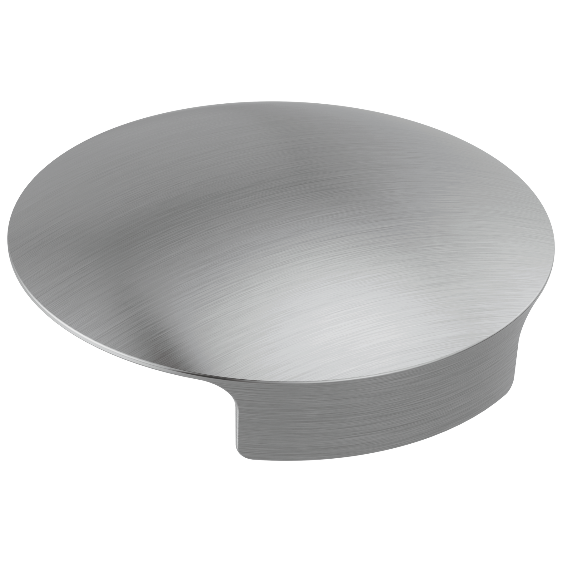 Glass Rinser Cover in Arctic Stainless RP101289AR Delta Faucet