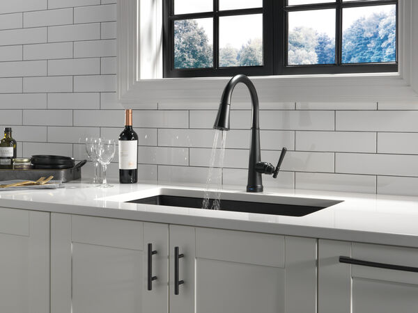 Single Handle Pull Down Kitchen Faucet with Touch2O Technology 9182T-BL ...