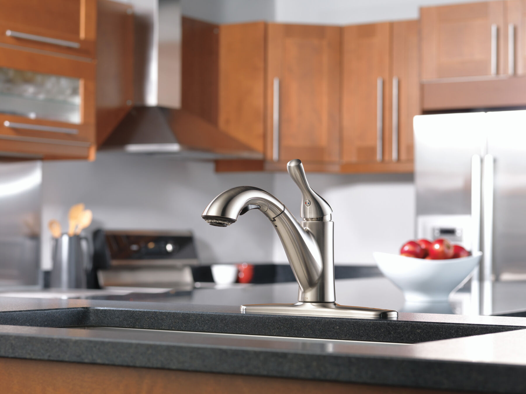 Single Handle Pull-Out Kitchen Faucet in Stainless 16953-SS-DST  
