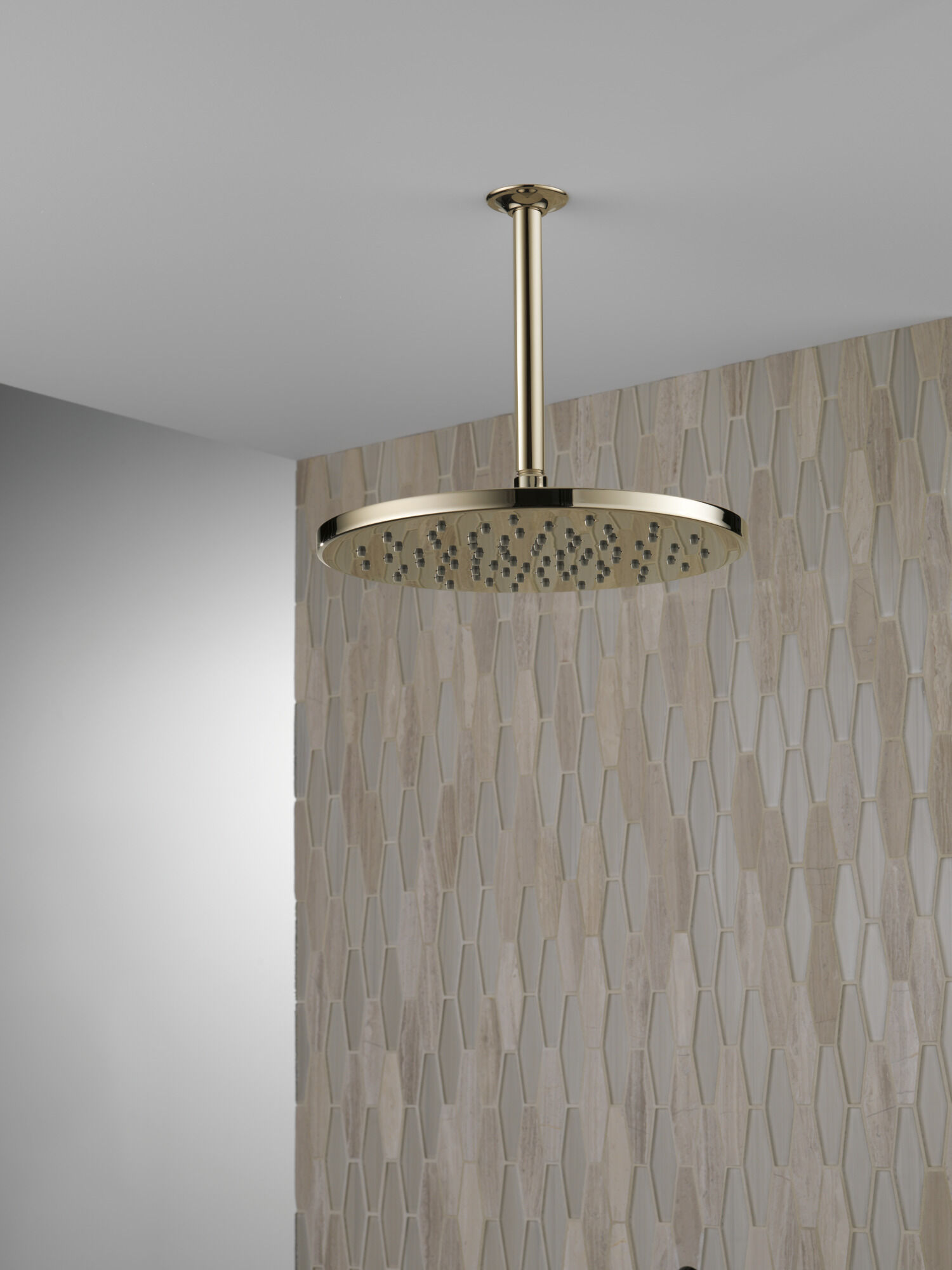Single-Setting Metal Raincan Shower Head in Lumicoat® Polished