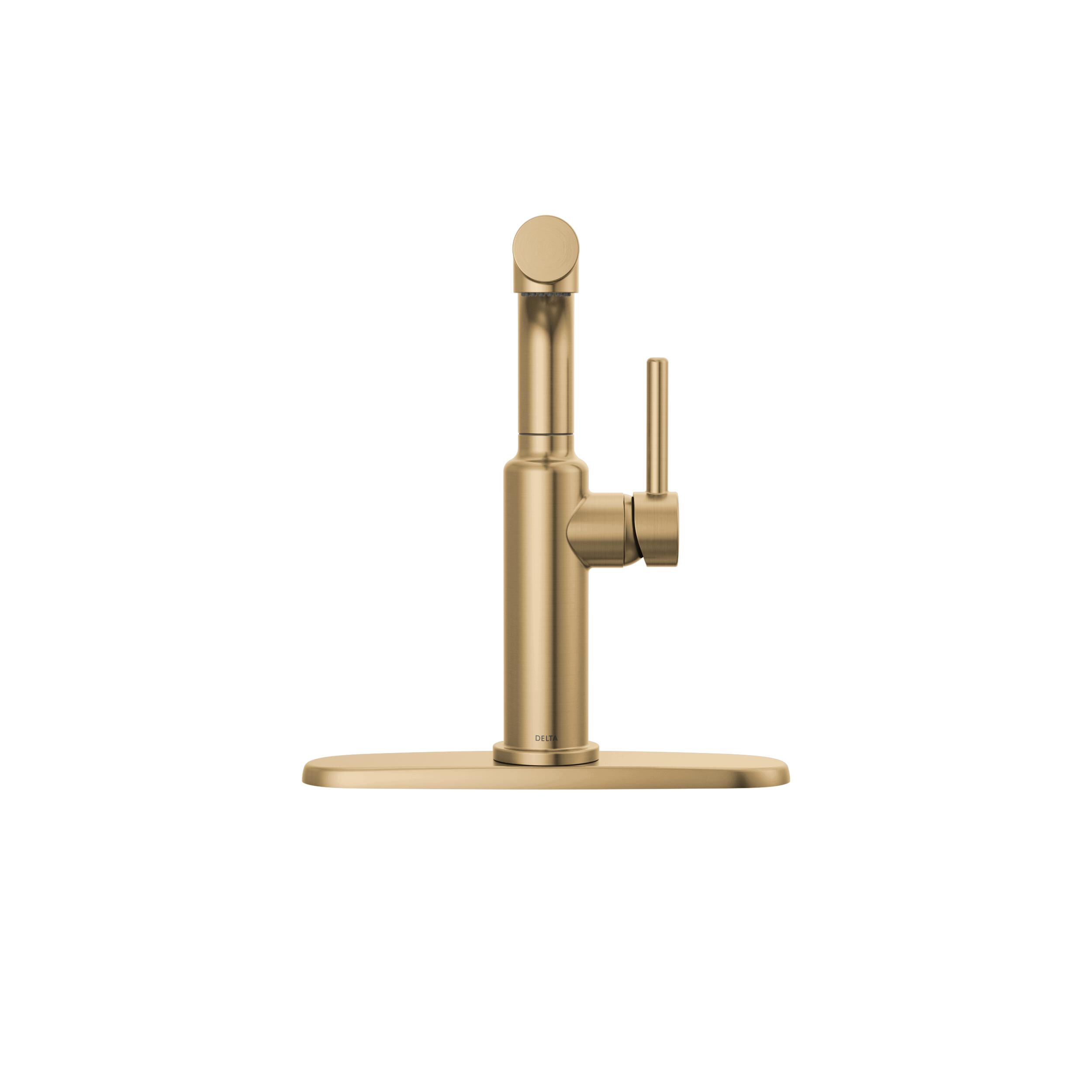 Single Handle Pull-Out Kitchen Faucet in Champagne Bronze 16879-CZ
