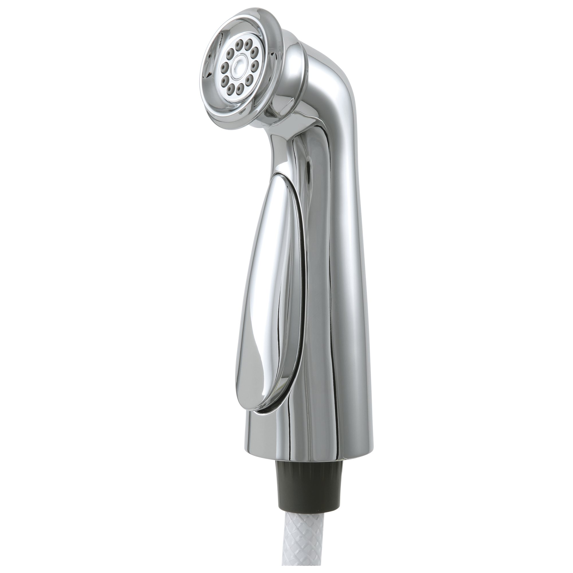 Delta Faucet CassidyE Side Spray & Hose Assembly - Chrome