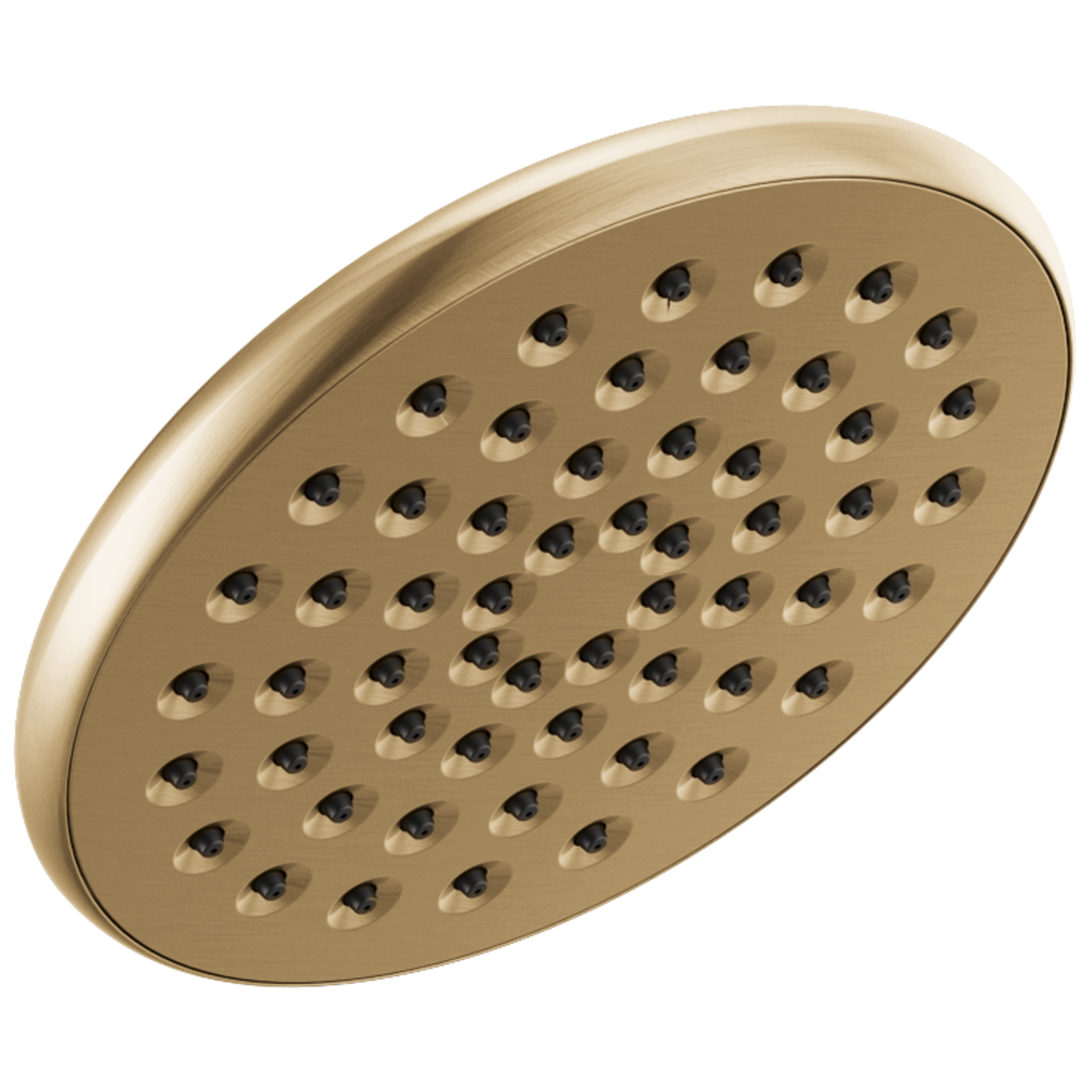 Delta Faucet Universal Showering Components Single-Setting Raincan Shower Head - Champagne Bronze