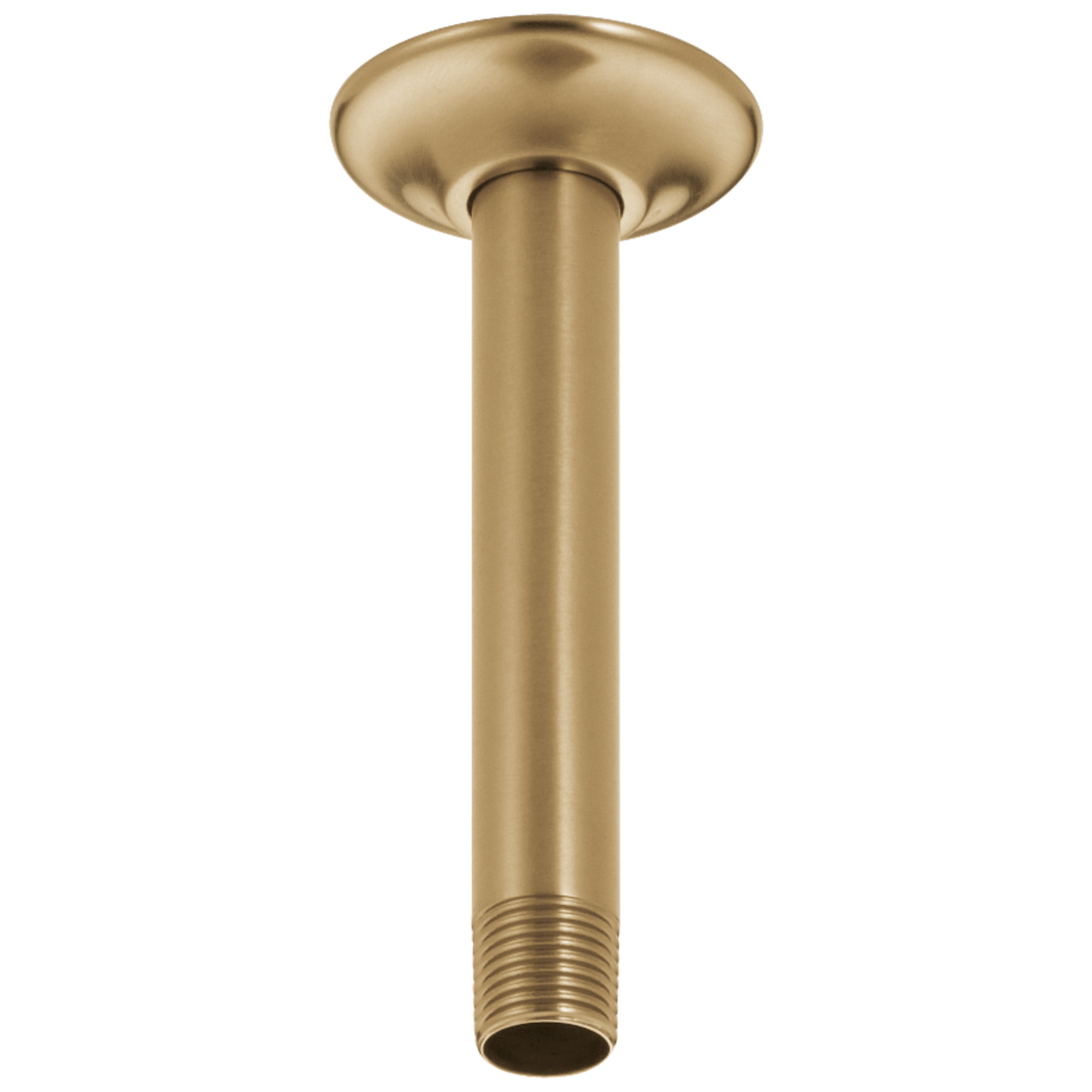 Shower Arm & Flange Ceiling Mount in Champagne Bronze RP61058CZ