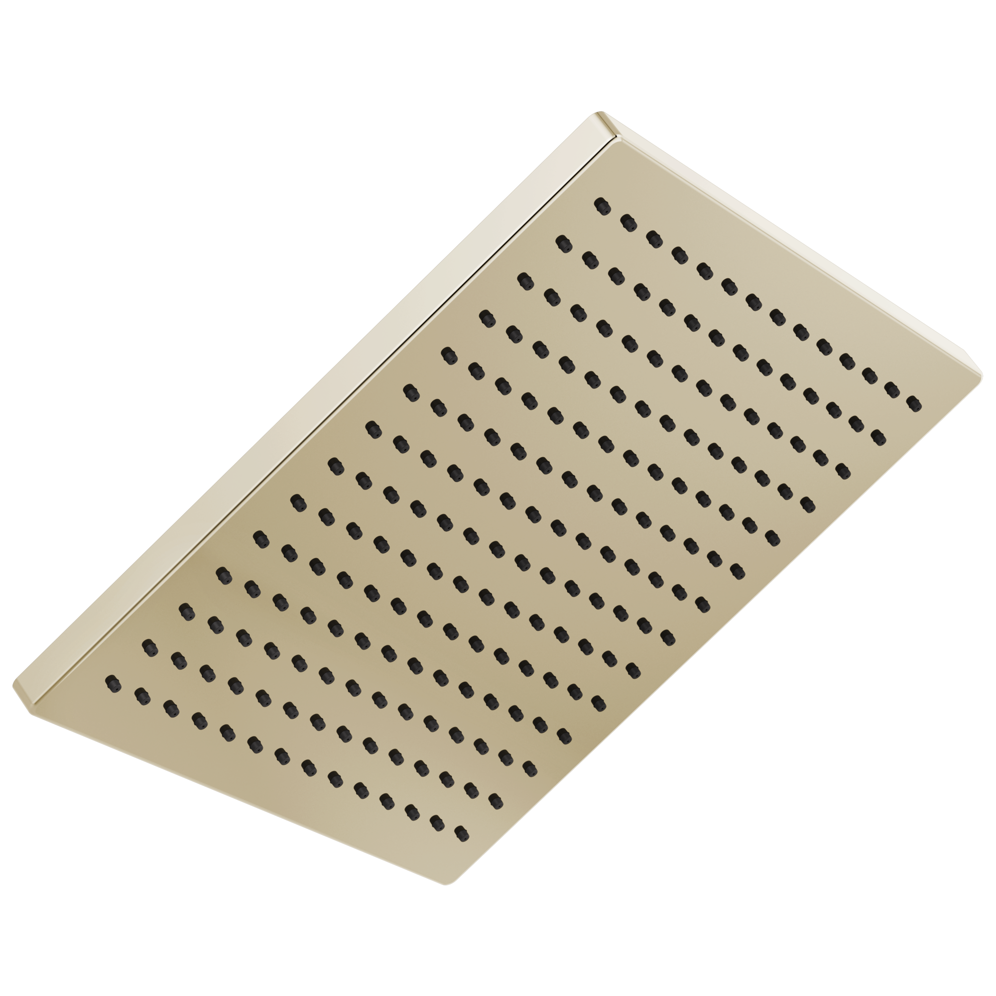 Delta Faucet Universal Showering Components Single-Setting Metal Raincan Shower Head - Lumicoat Polished Nickel