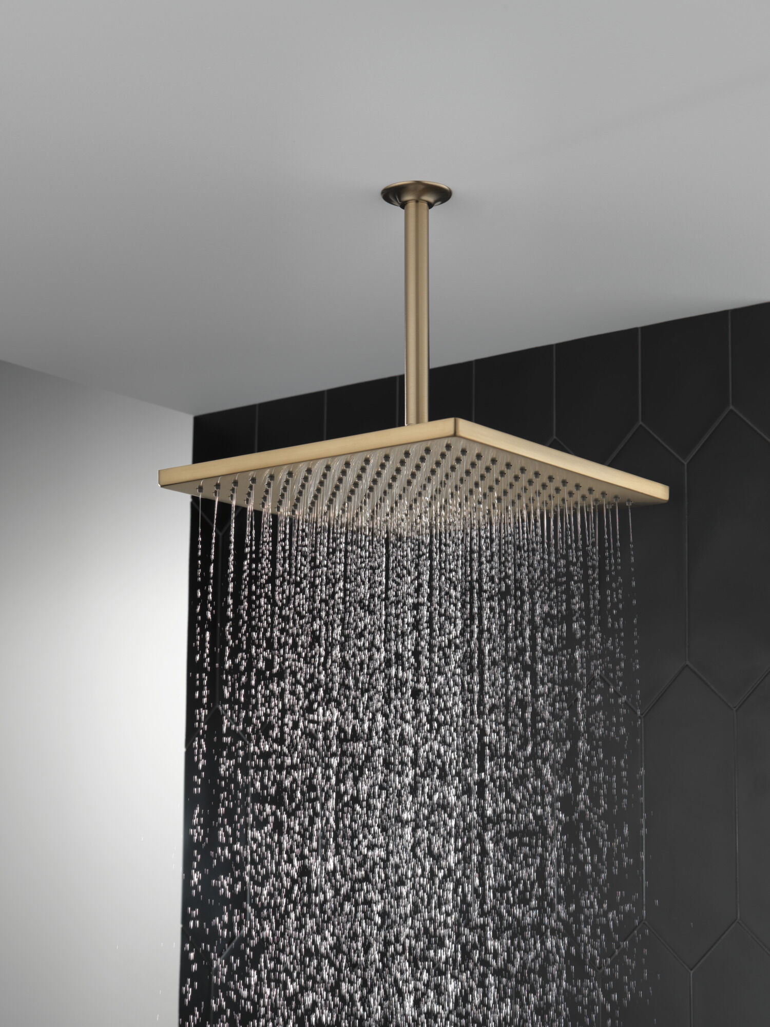 Single-Setting Metal Raincan Shower Head in Lumicoat® Champagne
