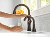 Single Handle Pull-Down Kitchen Faucet with Touch<sub>2</sub>O&reg; and ShieldSpray&reg; Technologies