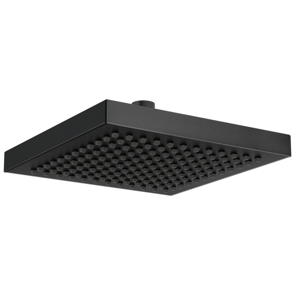 Raincan Single-Setting Shower Head