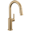 Single Handle Pull-Down Bar/Prep Faucet