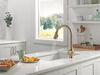 Pull-Down Kitchen 1 Handle with Soap Dispenser Bundle
