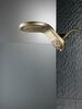 HydroRain&reg; H<sub>2</sub>Okinetic&reg; 5-Setting Two-in-One Shower Head