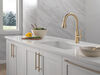 Single Handle Pull-Down Kitchen Faucet