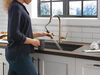Pull-Down Kitchen w/ShieldSpray (Recertified)