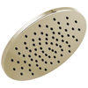 Single-Setting Metal Raincan Shower Head