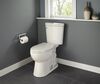 Elongated Toilet