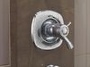 TempAssure&reg; 17T Series Valve Only Trim