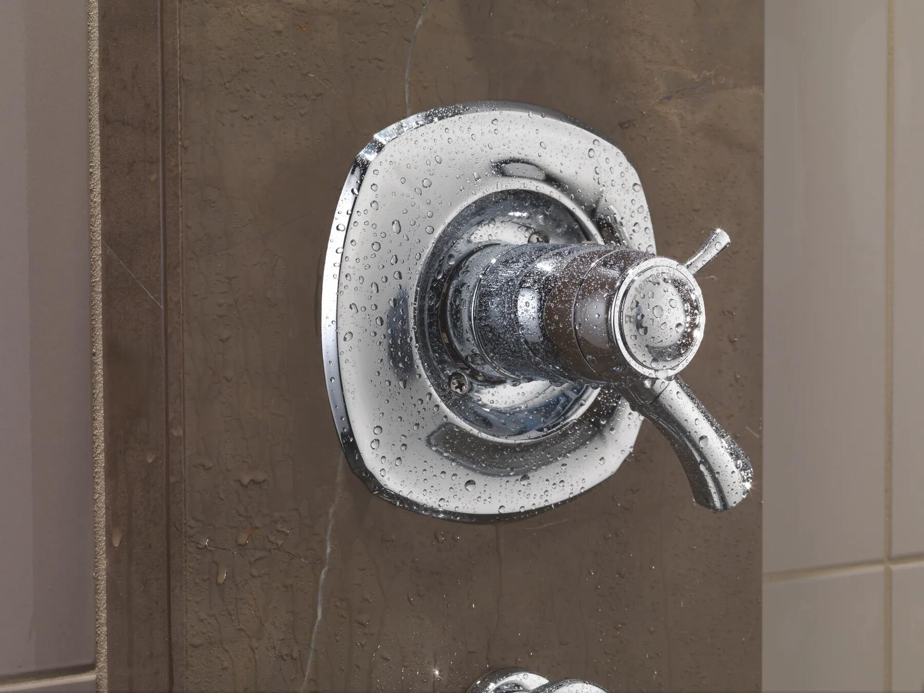 TempAssure&reg; 17T Series Valve Only Trim