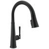 Single Handle Pull-Down Kitchen Faucet