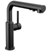 Pull-Out Kitchen Faucet (Recertified)