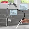Single Handle Pull-Down Kitchen Faucet with Soap Dispenser and ShieldSpray&reg; Technology