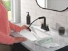 Two Handle Centerset Pull-Down Bathroom Faucet