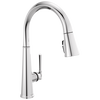 Pull-Down Kitchen w/ShieldSpray (Recertified)