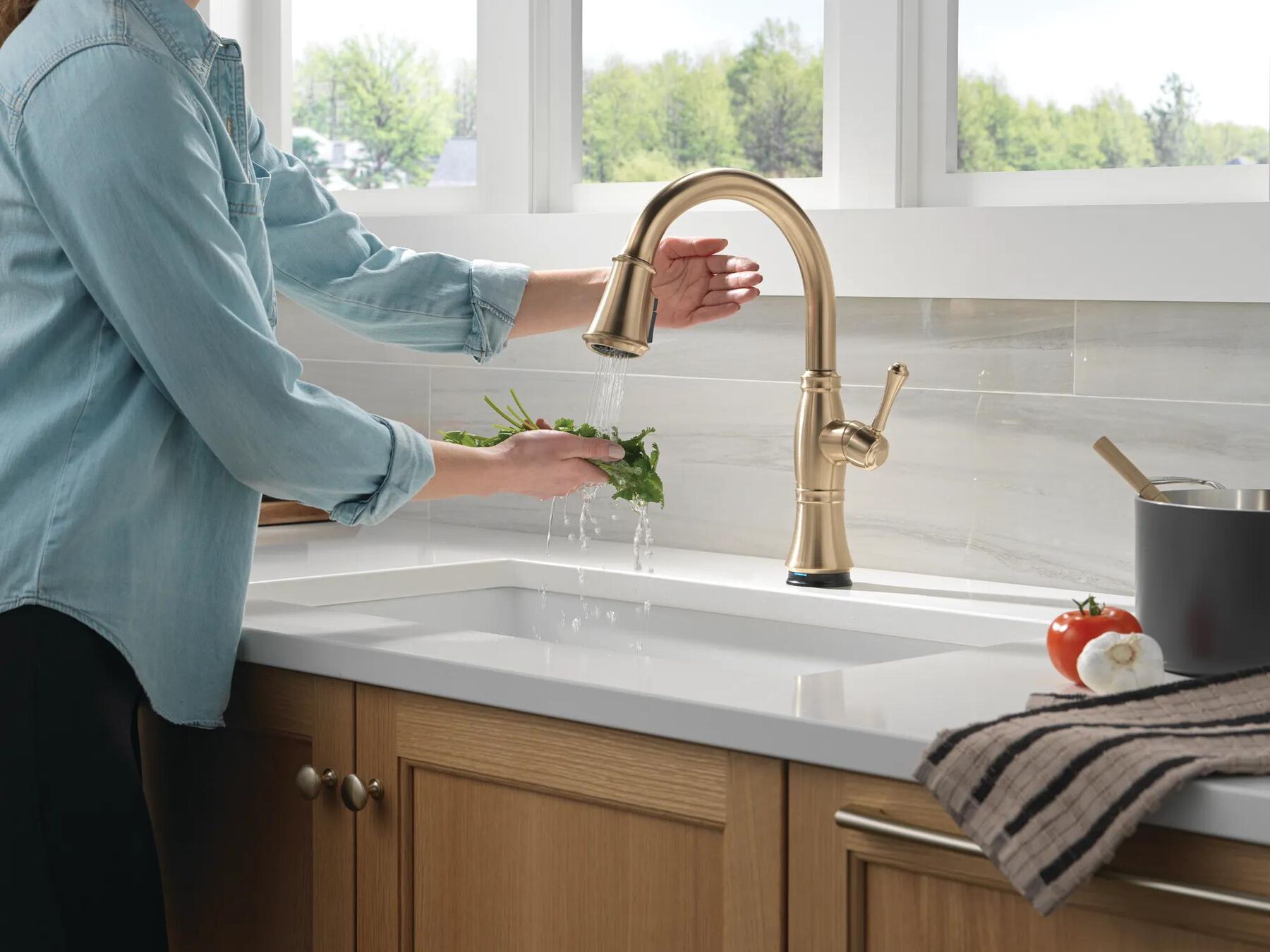 Touch<sub>2</sub>O&reg; Technology Kitchen Faucet with Touchless Technology