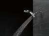 HydroRain 5-Setting Shower Head