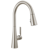 Pull-Down Kitchen Faucet (Recertified)