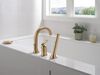 Three Hole Roman Tub Trim with Hand Shower