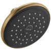 Single-Setting Raincan Shower Head