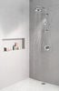 Single-Setting Hand Shower