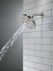 4-Setting Raincan Shower Head