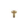 3" Ceiling Mount Shower Arm and Flange