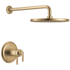 17T Series Shower Trim