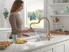 Pull-Down Kitchen 1 Handle with Soap Dispenser Bundle