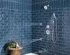 Premium Single-Setting Adjustable Wall Mount Hand Shower