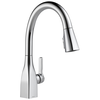 Single Handle Pull-Down Kitchen Faucet with ShieldSpray&reg; Technology