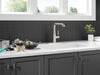 Pull-Out Kitchen Faucet (Recertified)