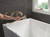 Two Handle Wall Mount Tub Filler Trim with Hand Shower