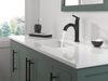 Single Handle Pull-Down Bathroom Faucet (Recertified)