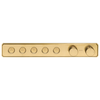 Traditional High Flow Push Button Thermostatic Trim - 5 Outlet