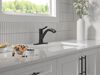 Single Handle Pull-Out Kitchen Faucet (Recertified)