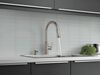 Single Handle Pull-Down Kitchen Faucet (Recertified)