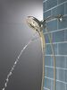 In2ition&reg; H<sub>2</sub>Okinetic&reg; 5-Setting Two-in-One Shower