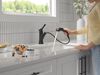 Single Handle Pull-Out Kitchen Faucet (Recertified)