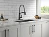 Pull-Down Kitchen Faucet w/Exp. Hose (Recertified)